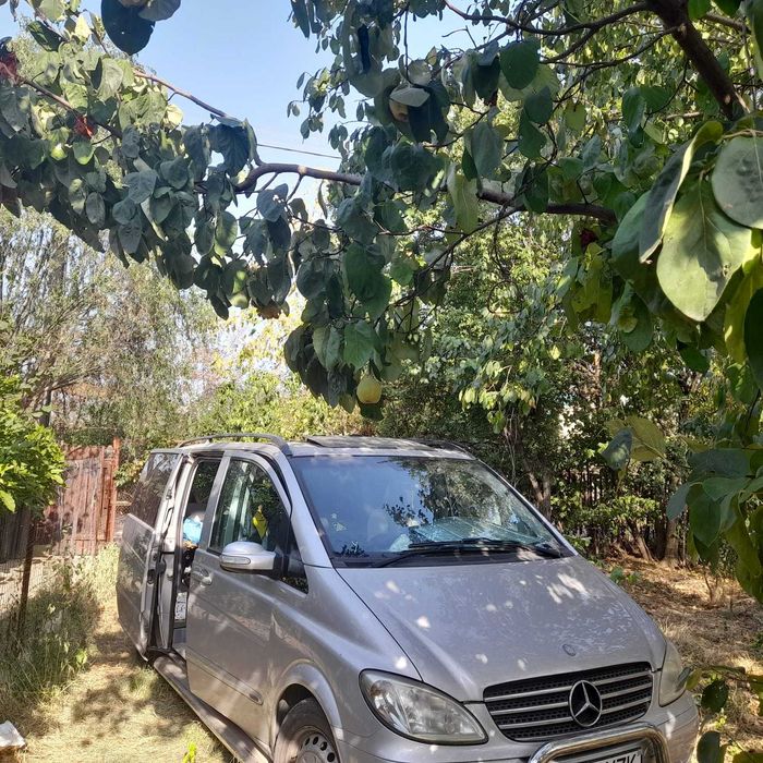 Mercedes Viano 2.2 CDI , an 2005, 267.800 km, 6 locuri, pat in spate