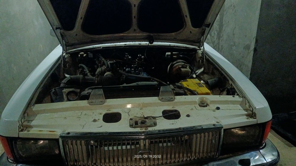VOLGA   GAZ  3102