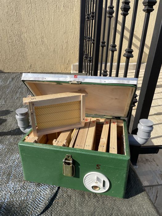 Vând mininucleu apicol dublu