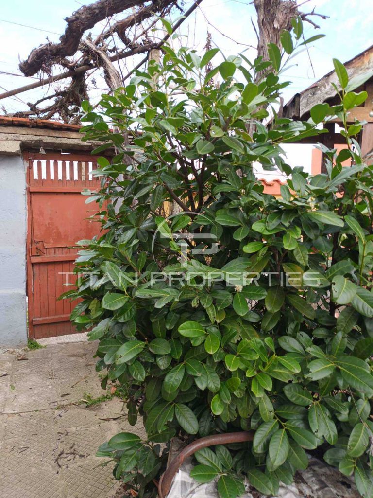 Продава се Къща в с. Куртово Конаре, Област Пловдив - 100 кв.м за 520 €/кв.м - Снимка #3