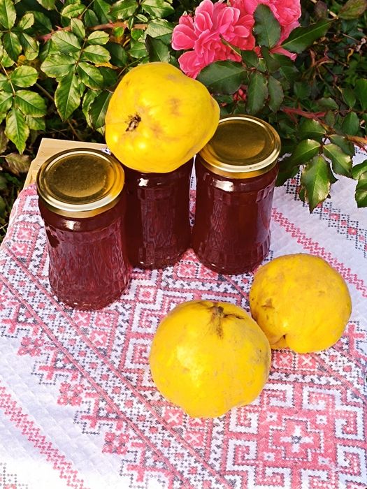 Пелте от дюли, джинджифил и лимон