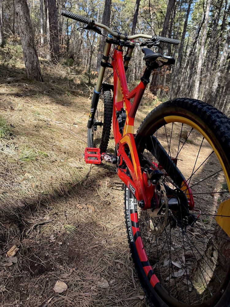 Dh колело Devinci Wilson 2020 29 L
