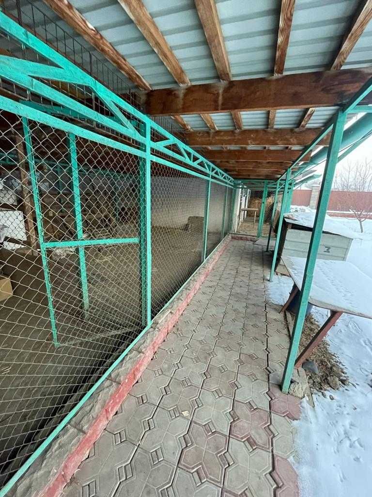 Продается дом, цена договорная