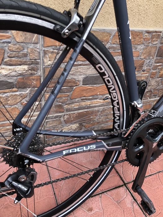 Semicursiera carbon Focus