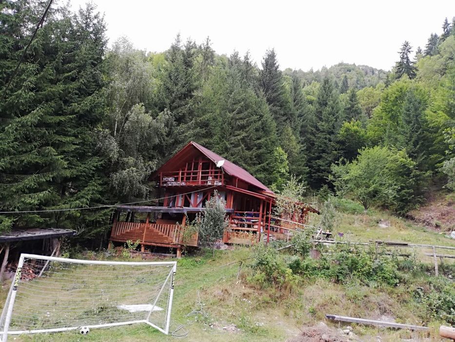 Cabana libera de Revelion 17pers