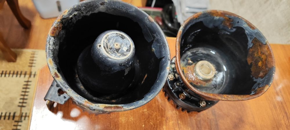 Serena karnay arginal