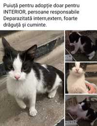 Pentru adopție, fetiță deparazitată intern și extern.