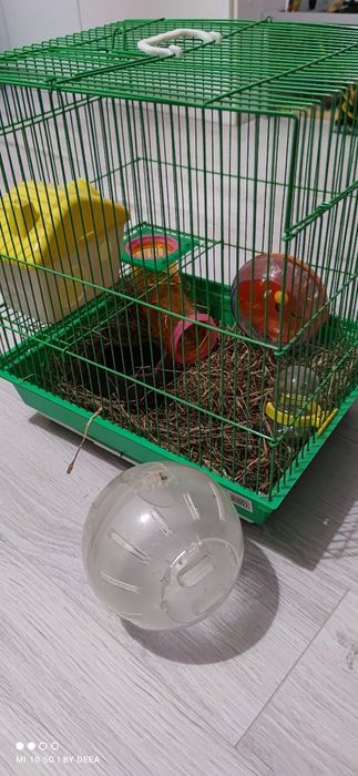 Cușcă hamster/ colivie pasari cu accesorii și  bila pentru hamster