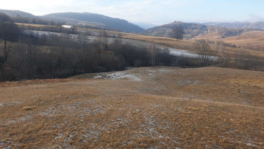 De vanzare teren extravilan in comuna Ciucea ,jud.Cluj