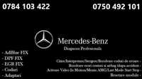 Tester Diagnoza Profesionala Mercedes Benz AdBlue DPF EGR Codari etc