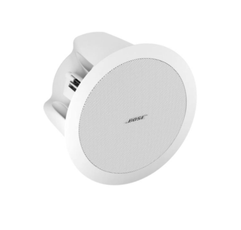 Bose FreeSpace DS16F