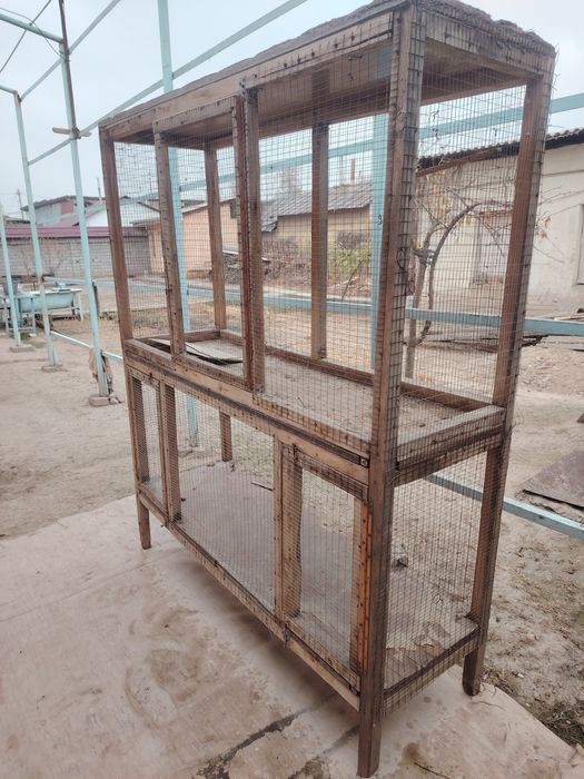 Qafas sotamiz darxol