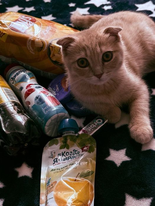 сотилмиди связкага бу аркак пишик киз пшик гарак1 яш дм миявлоб юрипди