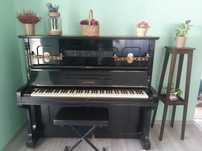 Pianina Hoffman, perfecta stare