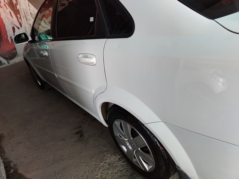 Мошина тоза 2015