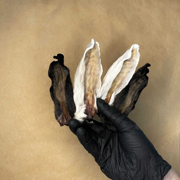 Gustari AufPet Ureche de Iepure deshidratate natural