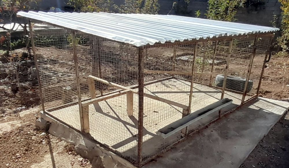 Катак товуклар учун