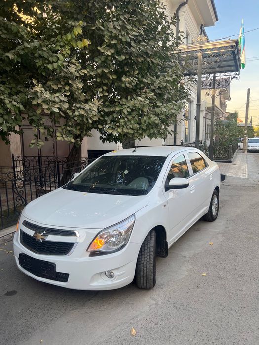 Cobalt oq kraska toza