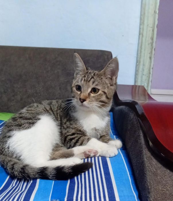 Молодой парнишка ищет дом!