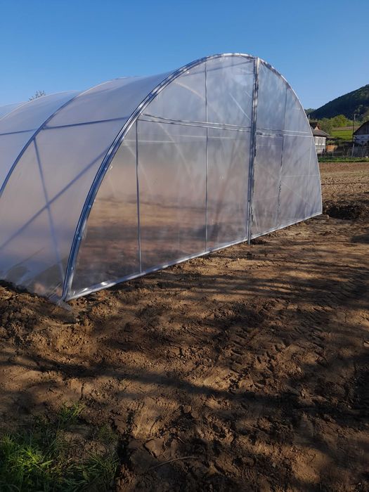 Solarii legume orice dimensiuni