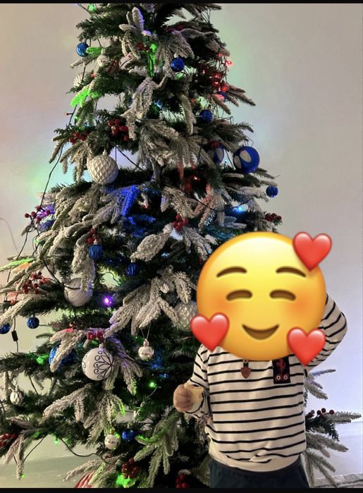 Ёлка новогодний