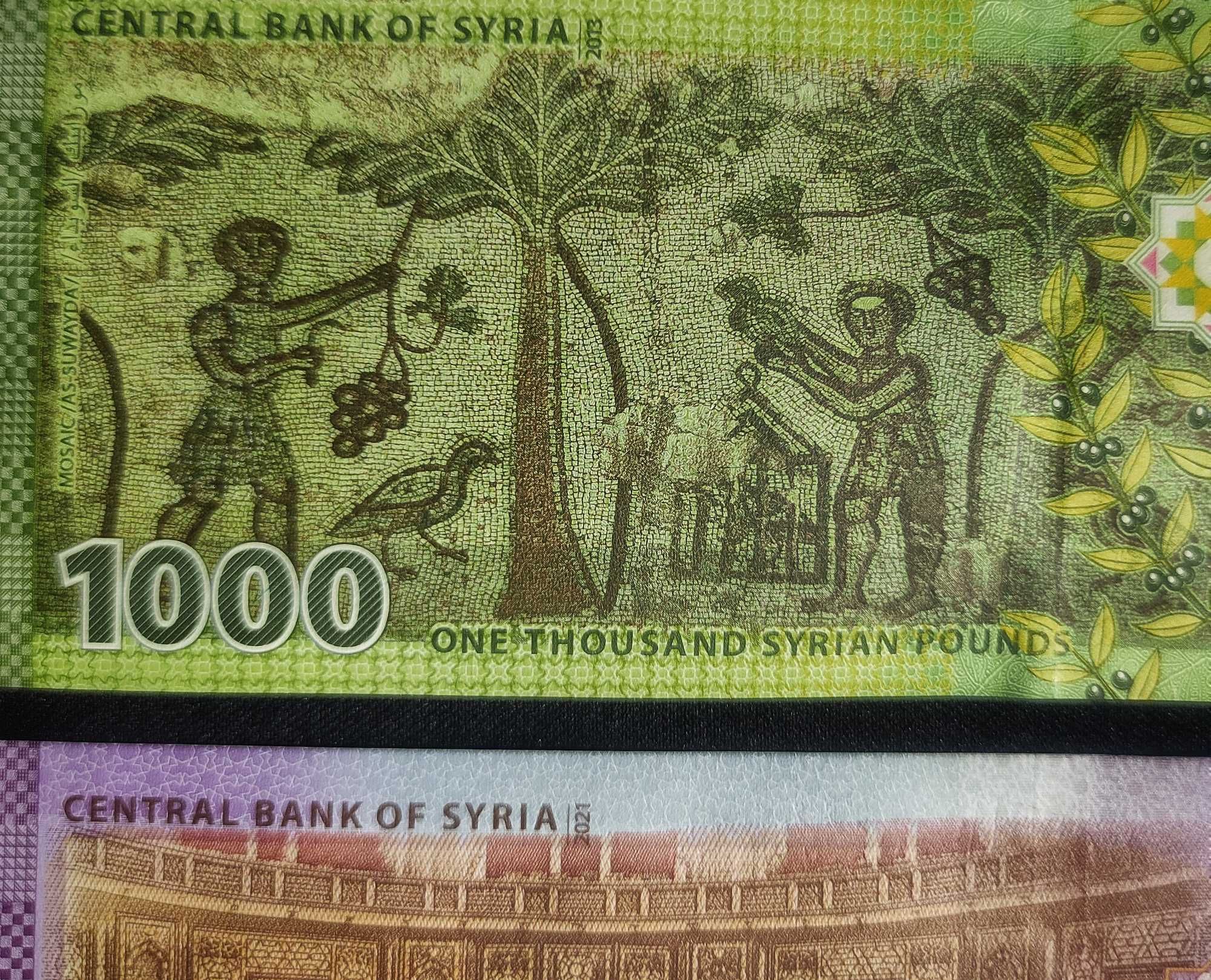Сирия. Полная Коллекция из 7 Банкнот - Сирийский Фунт. UNC