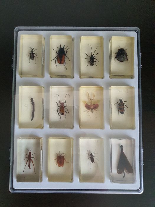 Colectia De la Deagostini