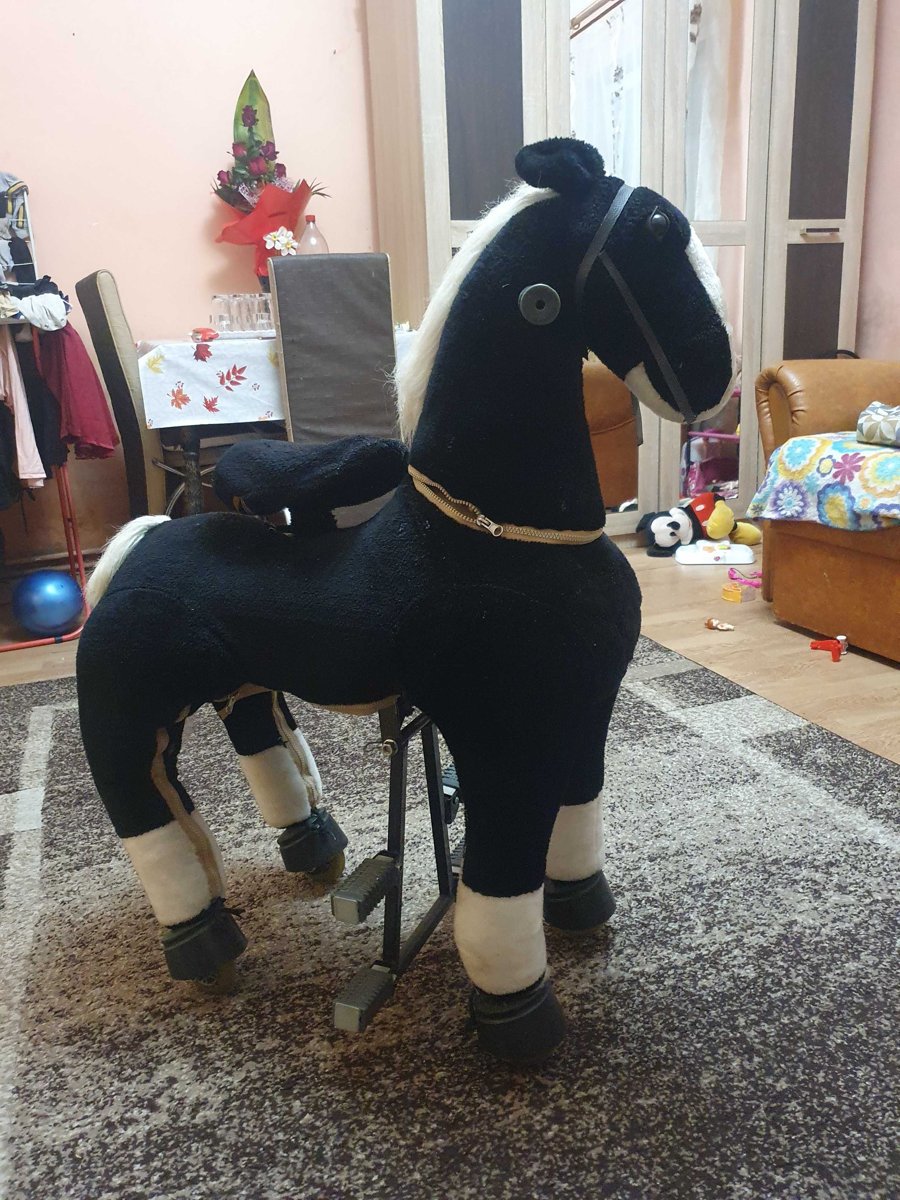 My pony cal my ponycycle
