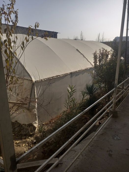 Таййор теплица сотилади Бир ярим сотихга тахланган