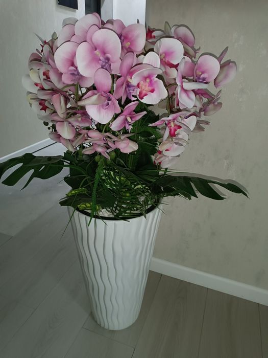 Holati yengi 110sm, arxideya