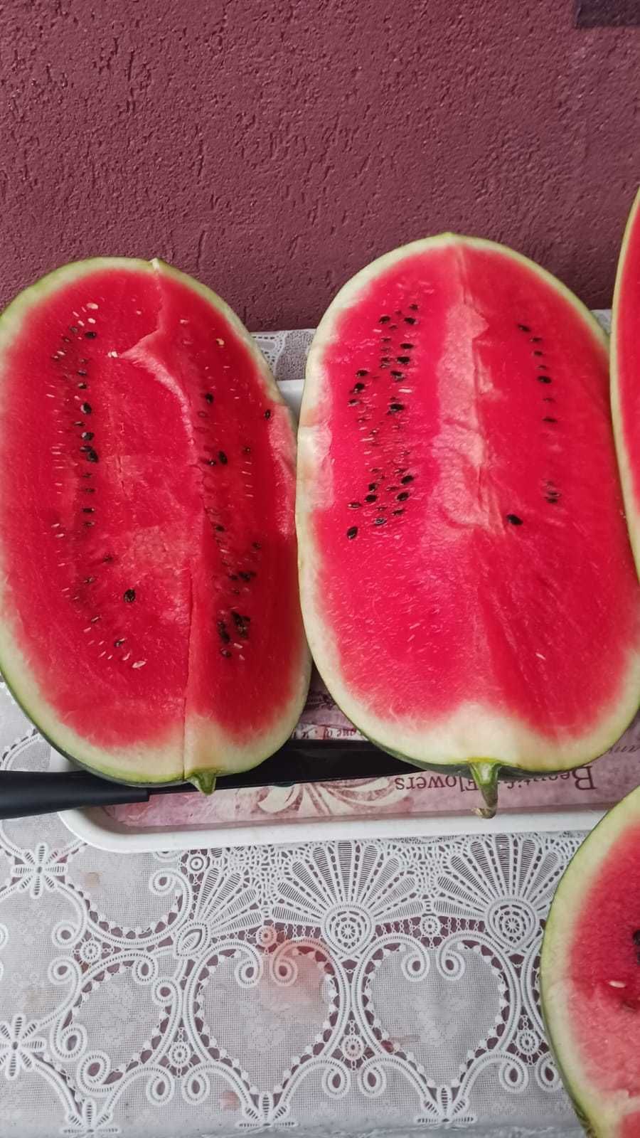Pepeni Mirsini de vânzare