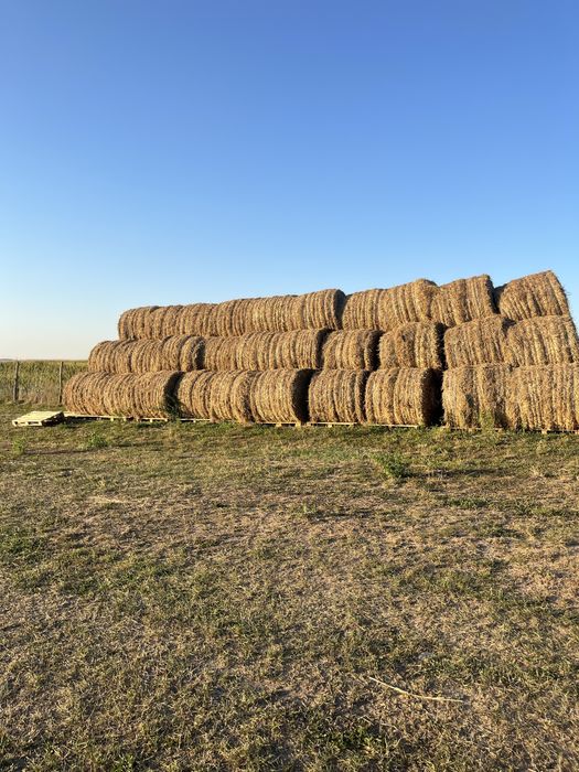 Vand grau si baloti paie