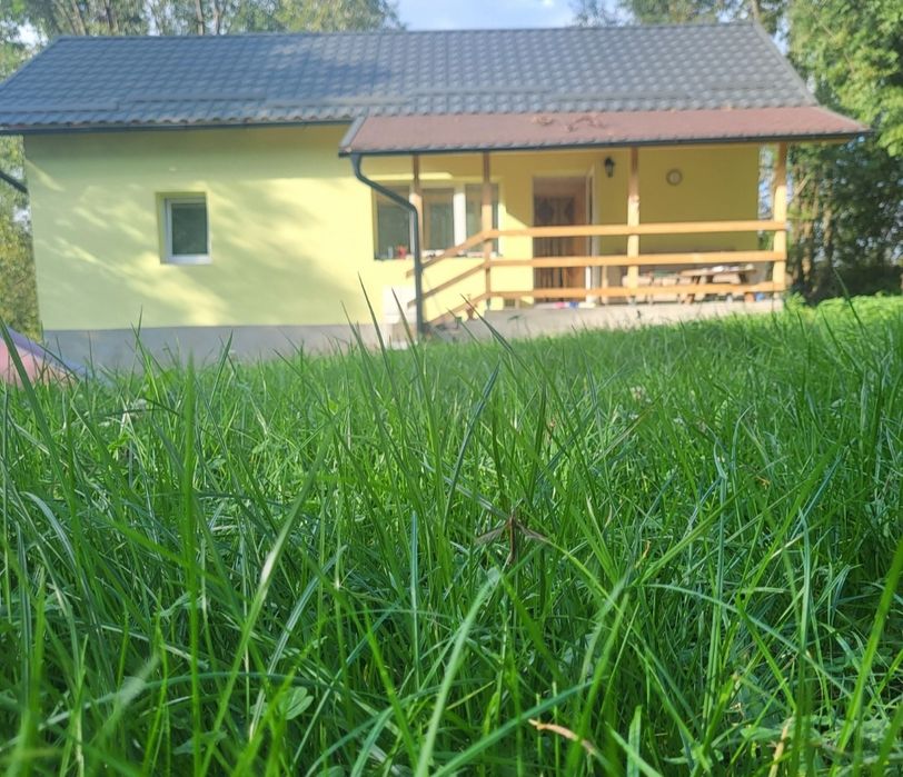 Casa in sat Livada, 30 min Cluj, foisor, gradina colt rai, Petresti