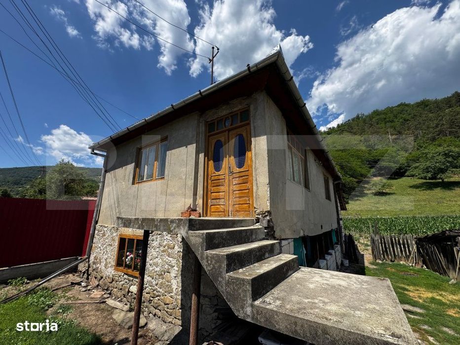 Casa cu 6000 mp teren, Poiana Ampoiului - Metes