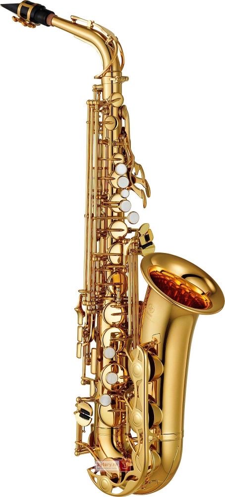 Cursuri saxofon/clarinet