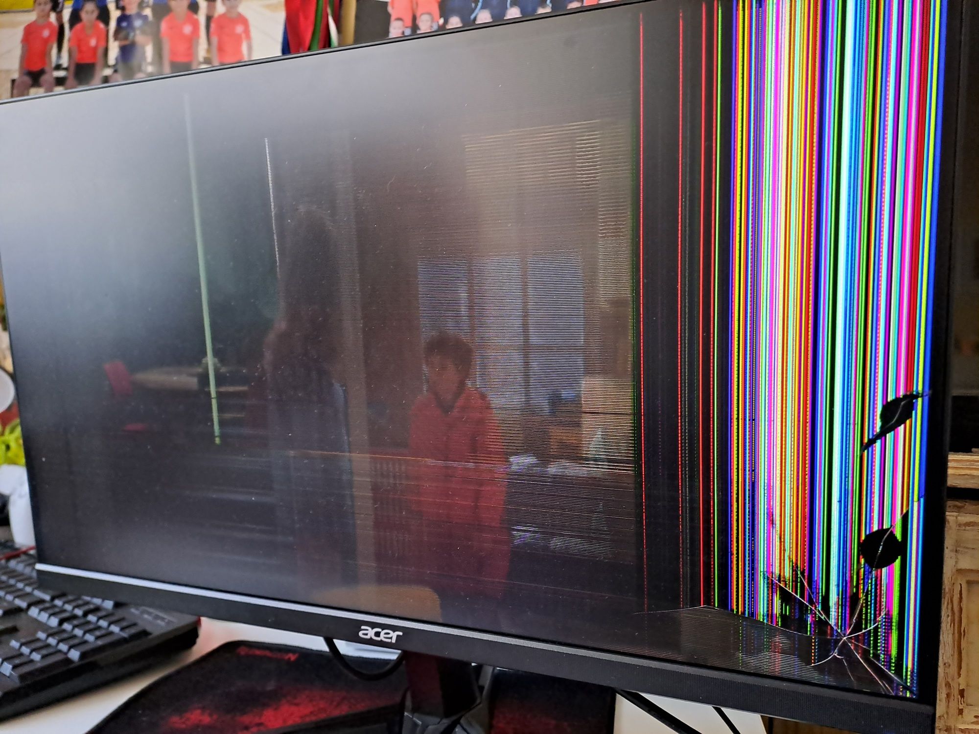 Гейминг монитор Acer QG241Y за части