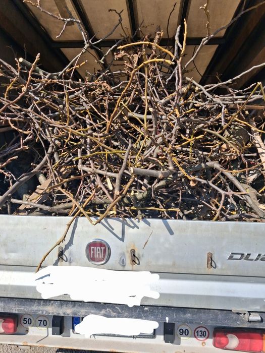 Debarasări poduri/beciuri/case si amenajări grădini