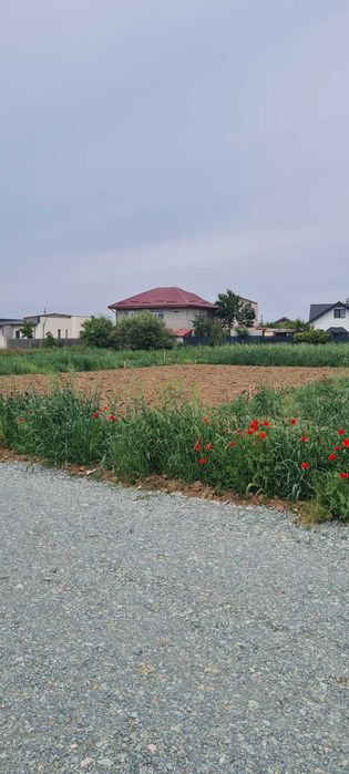 Teren intravilan Balaceanca
