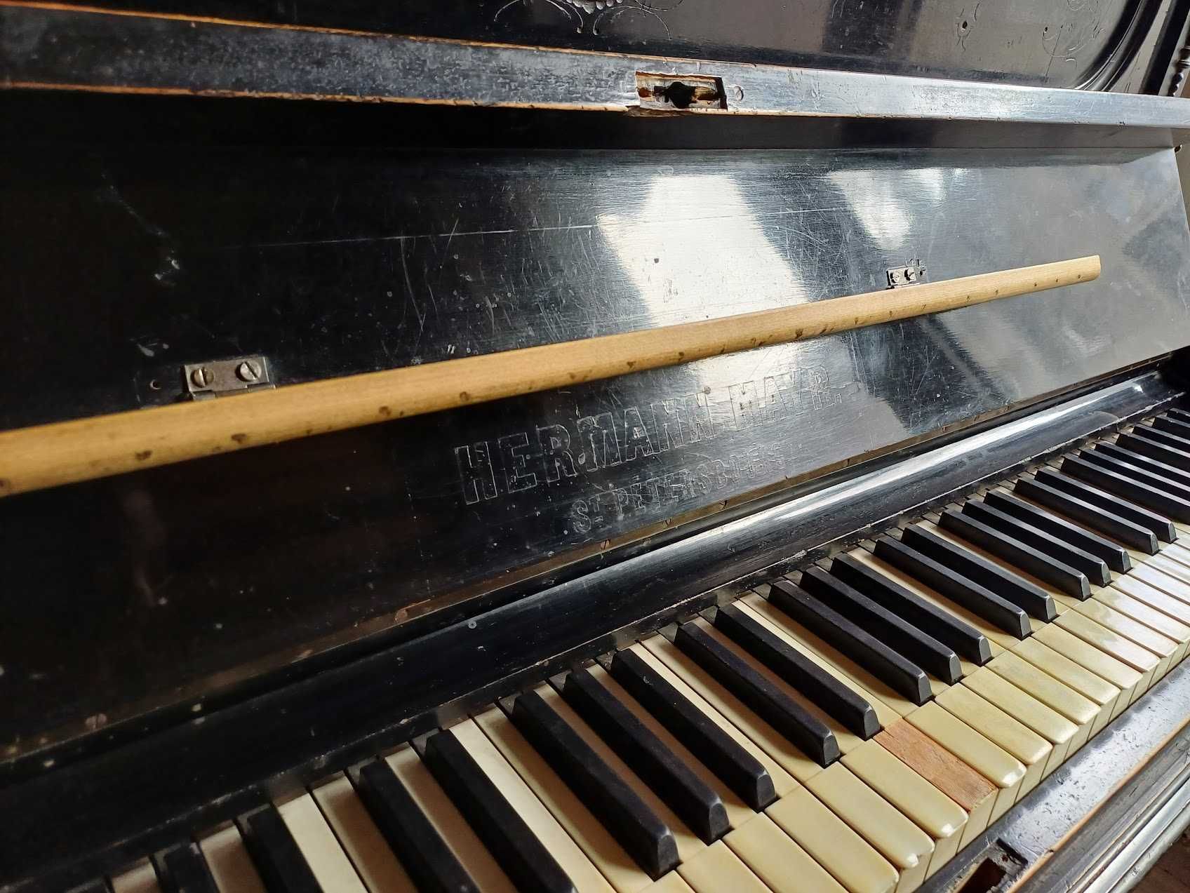 Pianina Pian Hermann Mayr Mayr ST Petersburg Placa de Bronz