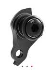 Sram UDH hanger.