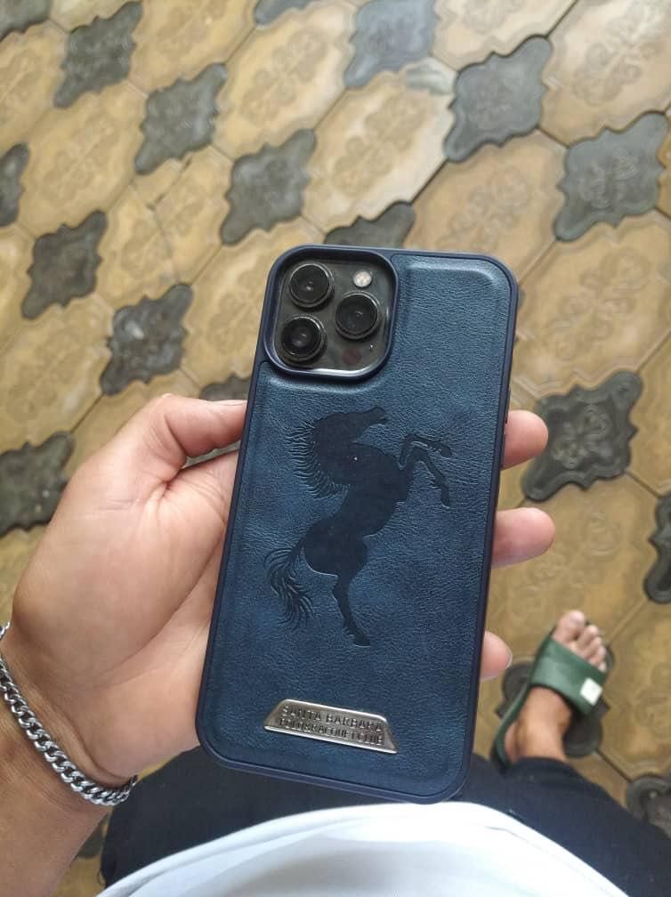 iPhone 13pro max