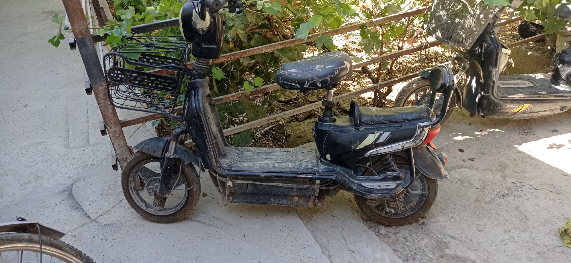 Skuter xolati urtacha 100$