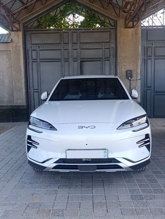 Byd champion smart