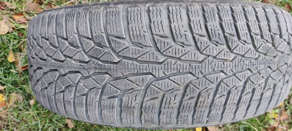 Anvelope Nokian WR D4 195/65 R15 91T