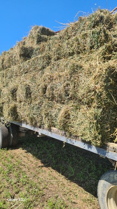 Baloti de lucernă  a treia coasă