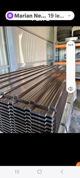 Tabla cutata acopris