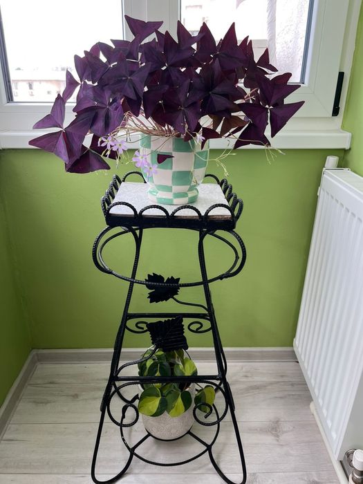 Suport pentru plante din fier