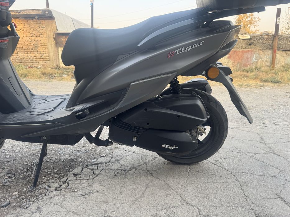 Скутер тайгер