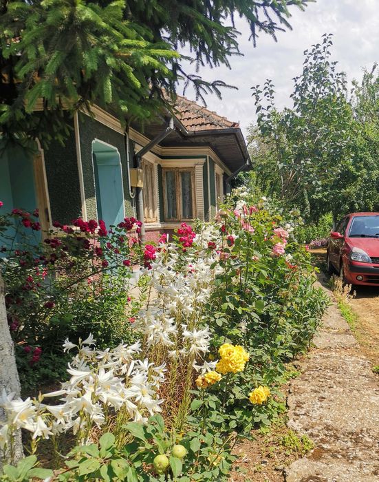 Vânzare casă cu 1500 mp teren, Coșereni, Ialomița