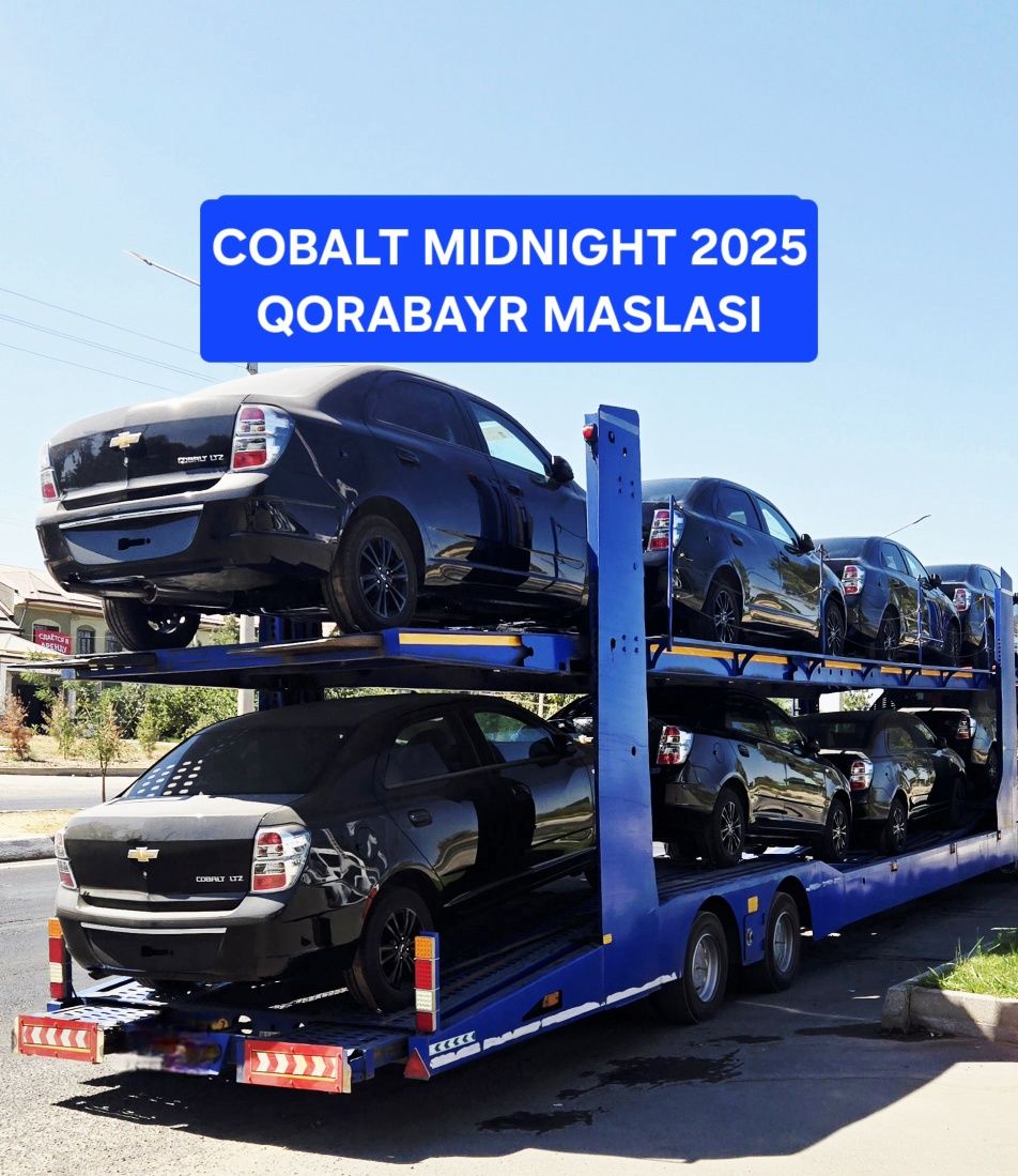 **Cobalt midnight 2025 корабайр